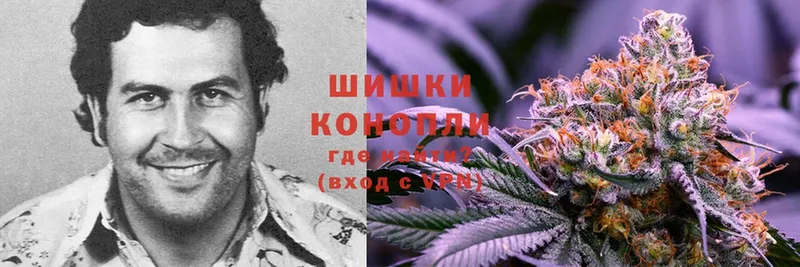 Конопля OG Kush  Ишимбай 